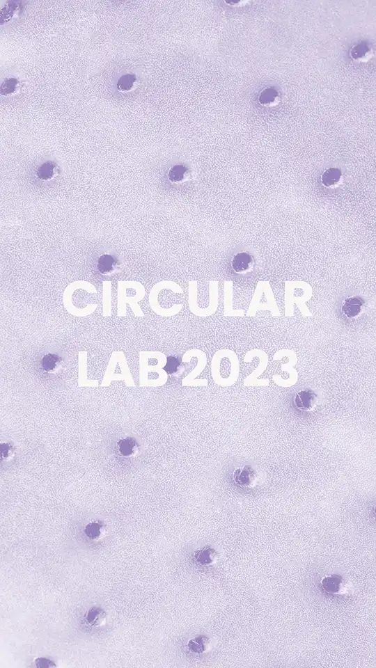 circular lab 2023 mellow designs project panel