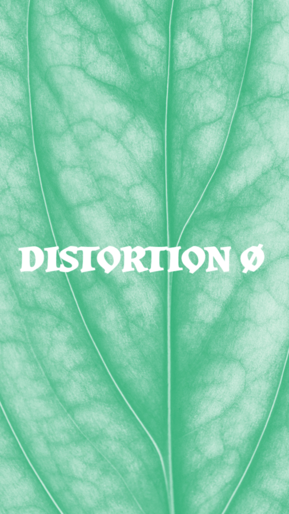 Distortion Festival