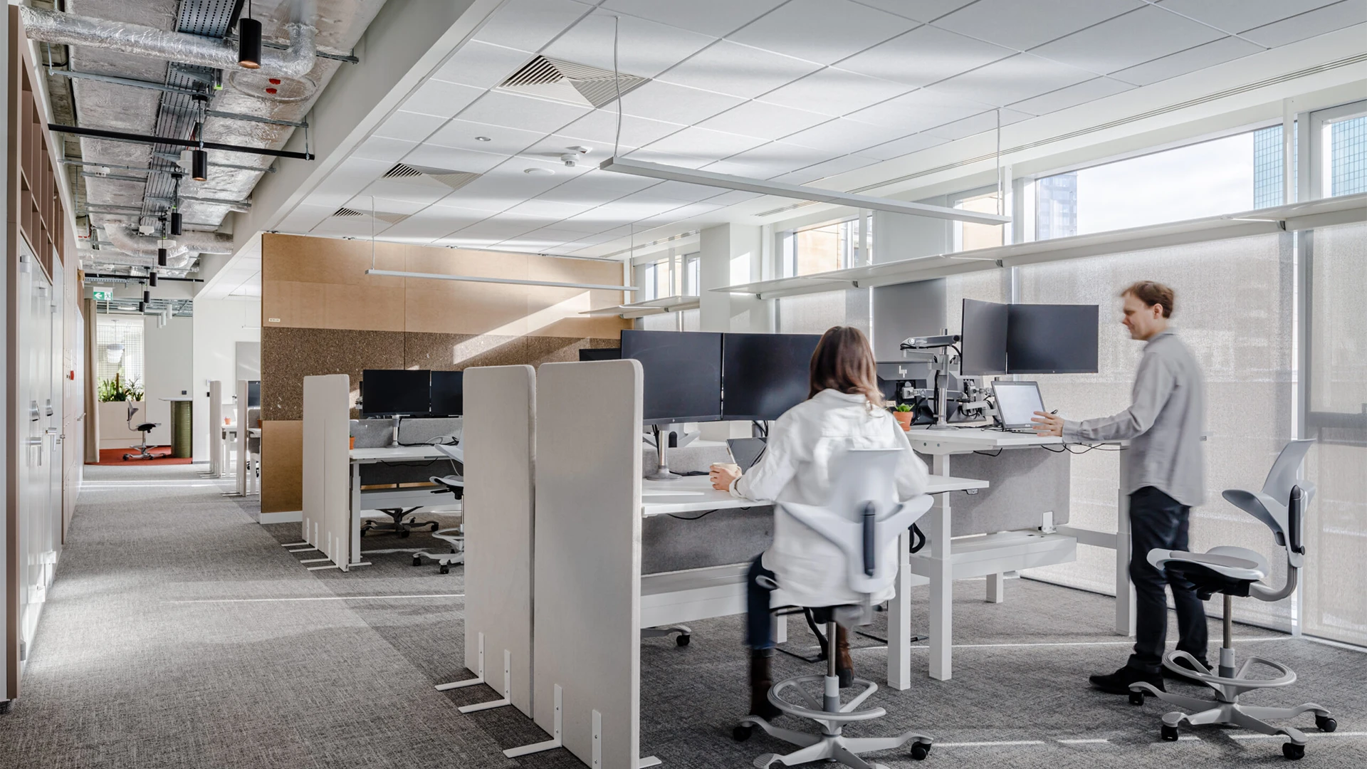 Bright, open-plan office with flexible modular partitions between workstations, featuring modern desks, monitors, and exposed ceiling infrastructure.